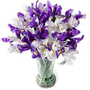 http://flowers.ua/images/Flowers/72.jpg