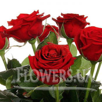 ext_0