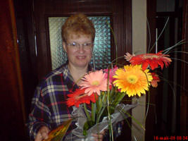 Gerbera Gift Wrap