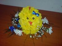 Funny chicken