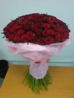 101 red roses