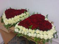 The ocean of roses