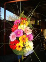 Gerbera Gift Wrap