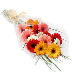 Gerbera Gift Wrap