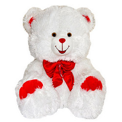 Teddy