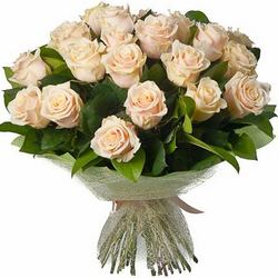 25 cream roses