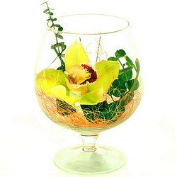 Orchid in a glass