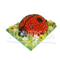Яркая божья коровка