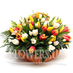 Basket of yellow tulips