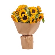 Сезонні квіти