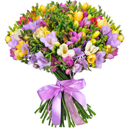 101 colorful freesia – from Flowers.ua