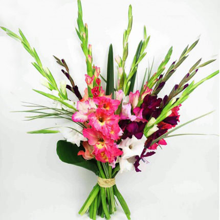 15 multicolored gladioluses – from Flowers.ua