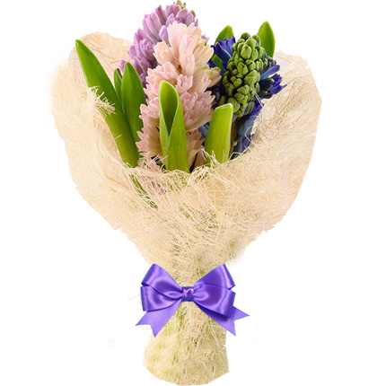3 different color hyacinth  - buy in Ukraine