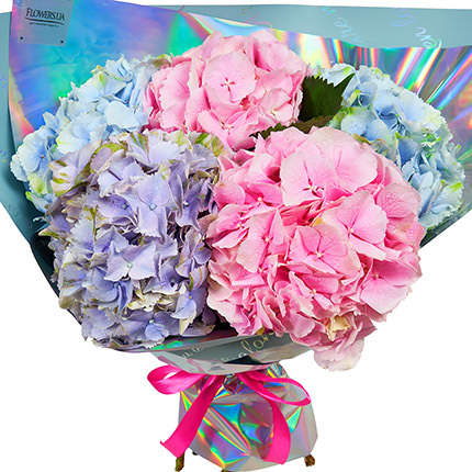 Bouquet "5 summer hydrangeas" – from Flowers.ua