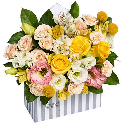 Composition in ornamental flowerpot "Caramel Dessert" – from Flowers.ua