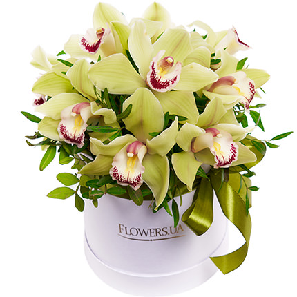 Квіти в коробці "Чарівні орхідеї"  - придбати в Україні