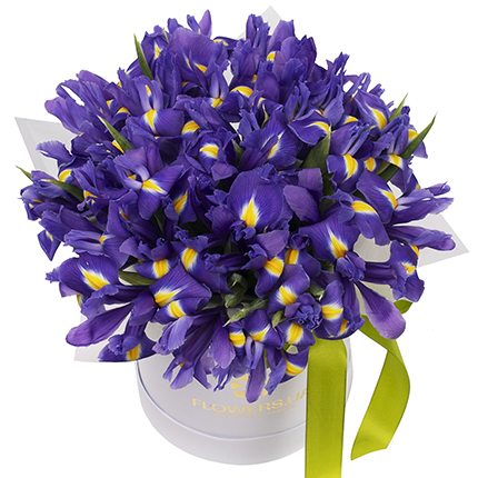Квіти в коробці "Сапфірове захоплення"  – придбати в Україні