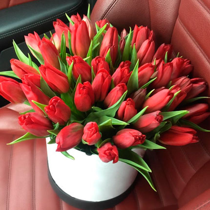 Квіти у коробці "39 червоних тюльпанів" – від Flowers.ua