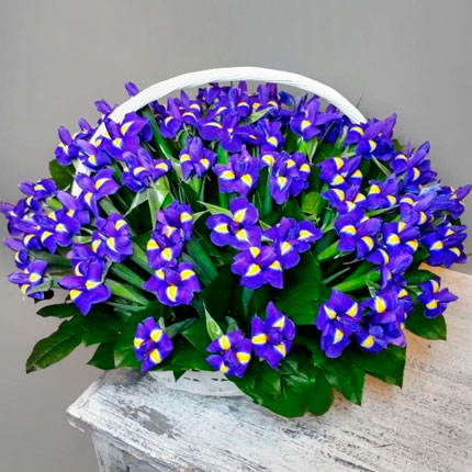 Basket 37 irises  – buy in Ukraine