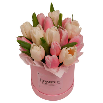 Композиция в коробке "15 нежных тюльпанов"  - купить в Украине
