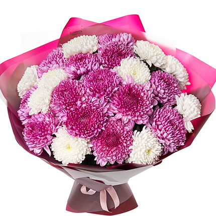Букет "23 бело-розовых хризантем"  - купить в Украине