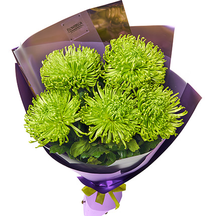 Bouquet "5 green chrysanthemums"  - buy in Ukraine