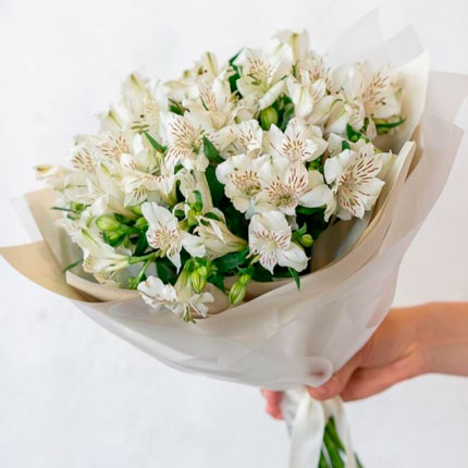 Bouquet "9 white alstroemerias"  - buy in Ukraine