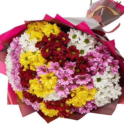 25 разноцветных хризантем! – от Flowers.ua