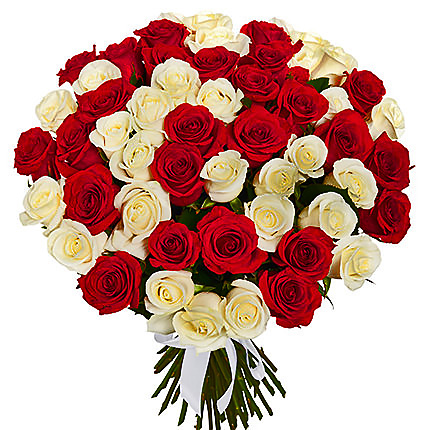 51 червона і біла троянда!  – придбати в Україні