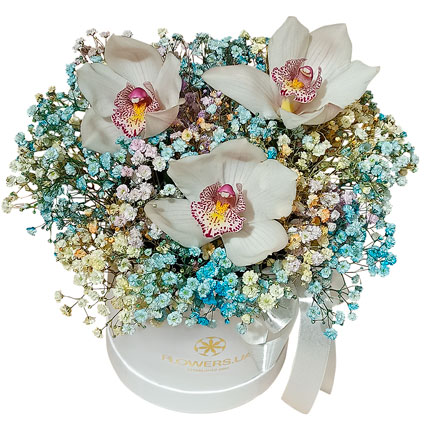 Цветы в коробке "Радужное настроение"  - купить в Украине