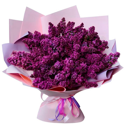 51 fragrant lilac branches  - buy in Ukraine