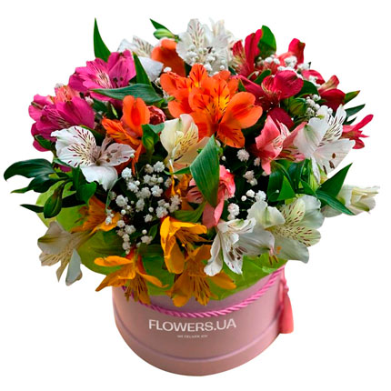 Цветы в коробке "Яркая фантазия" – от Flowers.ua