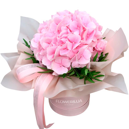 Квіти у коробці "Пудра" – від Flowers.ua