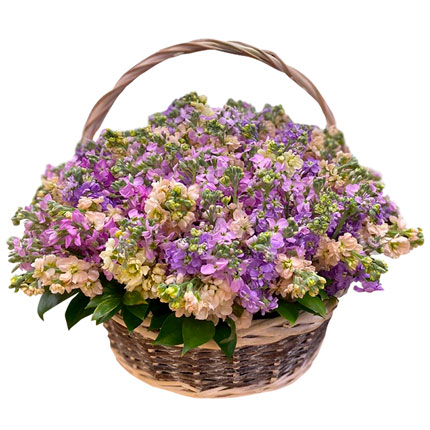 Basket "Fragrant Matthiola"  - buy in Ukraine