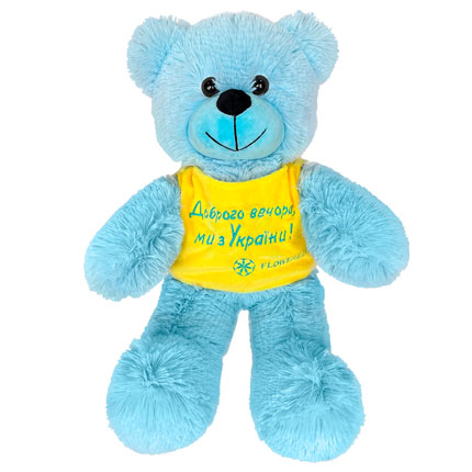 Teddy Bear Patriot 50 sm  – buy in Ukraine
