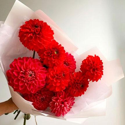 Bouquet "9 red dahlias"  - buy in Ukraine