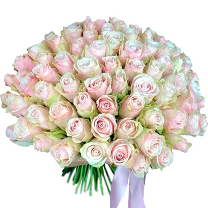 101 Pink Athena roses (Kenya)  - buy in Ukraine
