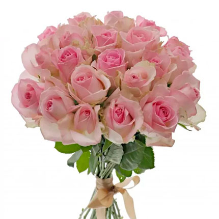 21 роза Avalanche Sorb (Кения)  – купить в Украине