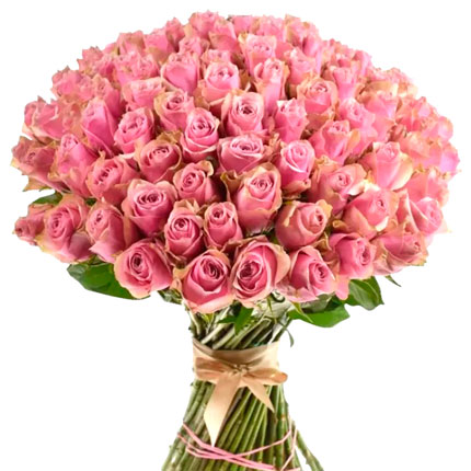 101 роза Athena Royale (Кения)  - купить в Украине