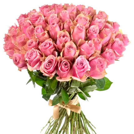 51 роза Athena Royale (Кения)  - купить в Украине