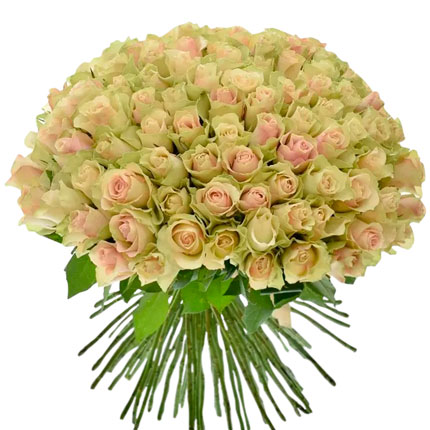 101 роза La Belle (Кения)  - купить в Украине