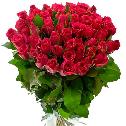 51 роза цвета фуксии (Кения) – от Flowers.ua
