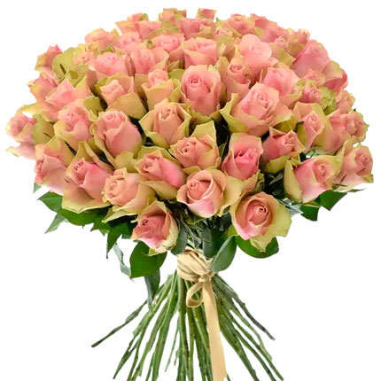 51 роза Belle Rose (Кения) – от Flowers.ua