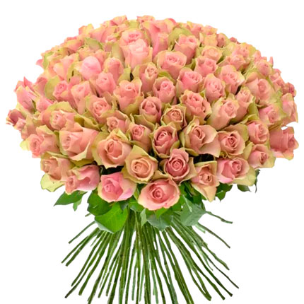 101 роза Belle Rose (Кения)  - купить в Украине