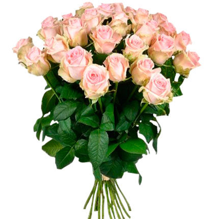 25 роз Belle Rose (Кения)  - купить в Украине