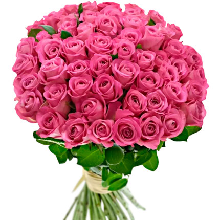 51 розовая роза (Кения)  - купить в Украине