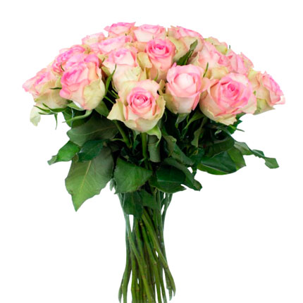 21 роза Lovely Jewel (Кения)  – купить в Украине