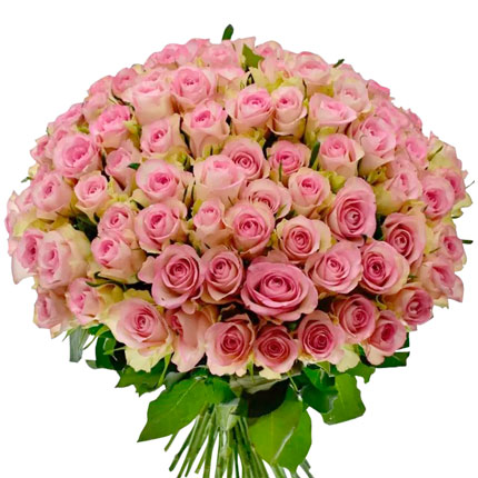 101 роза Lowely Jewel (Кения) – от Flowers.ua