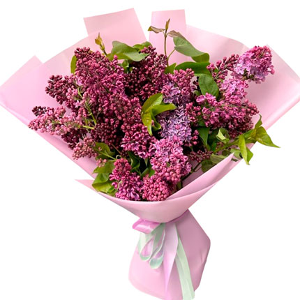 Bouquet "9 branches of lilac" – from Flowers.ua