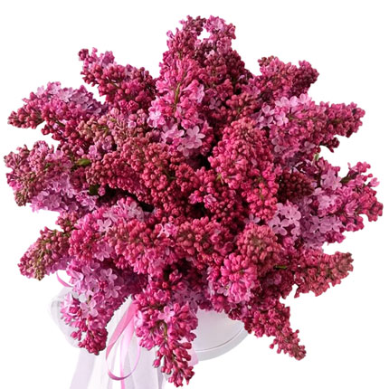 Flowers in a box "15 branches of fragrant lilac" – from Flowers.ua